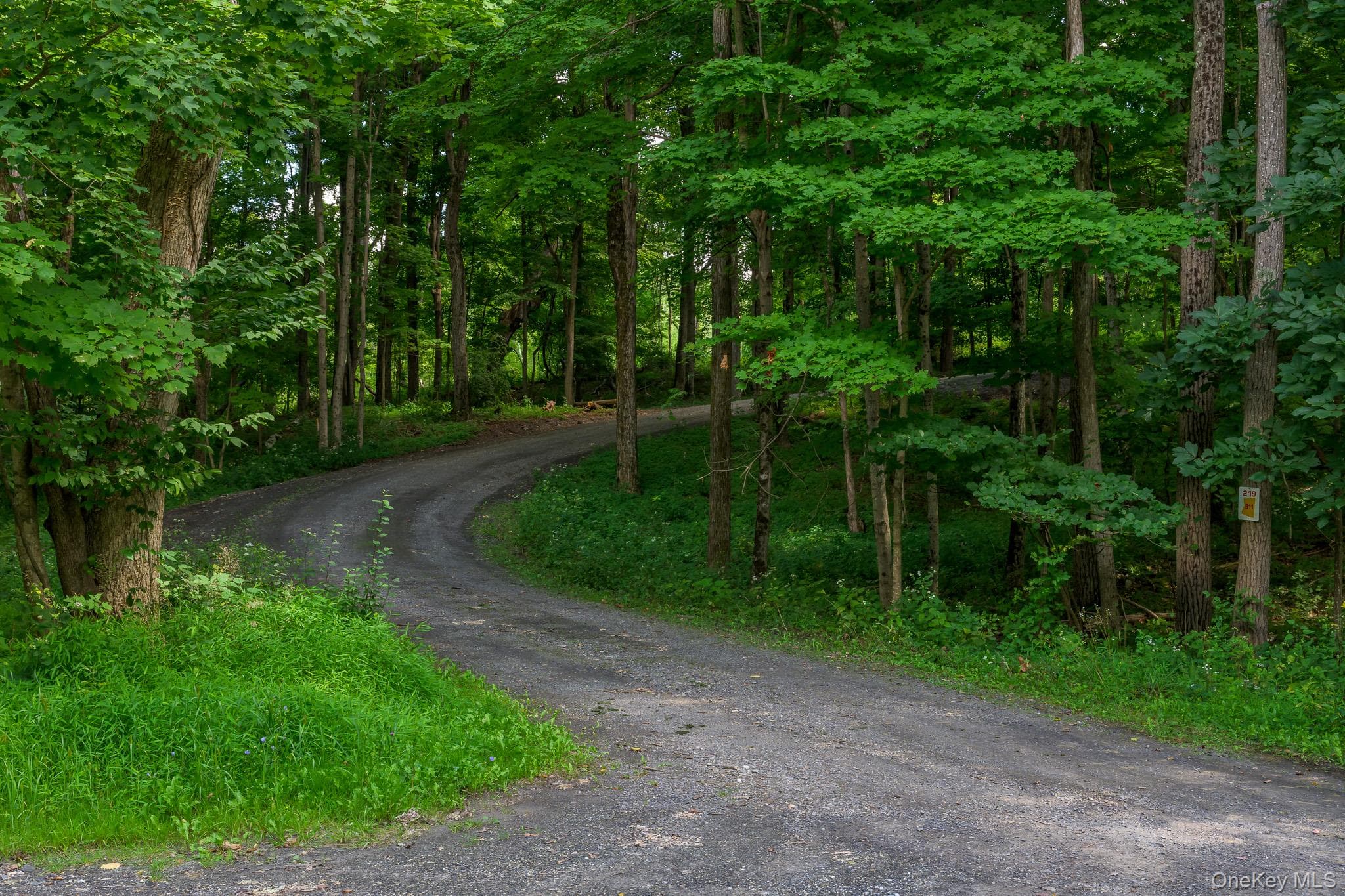 219 Roche Drive thumbnail 2
