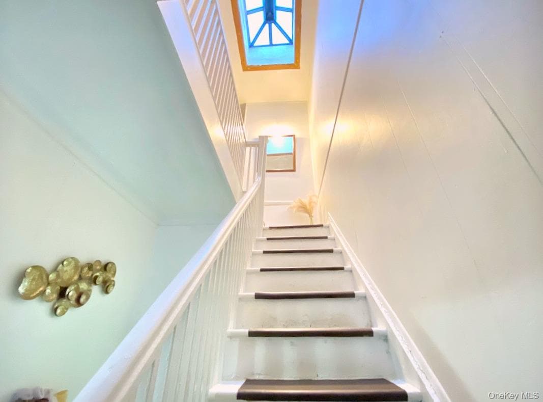 9 Adler Place thumbnail 16