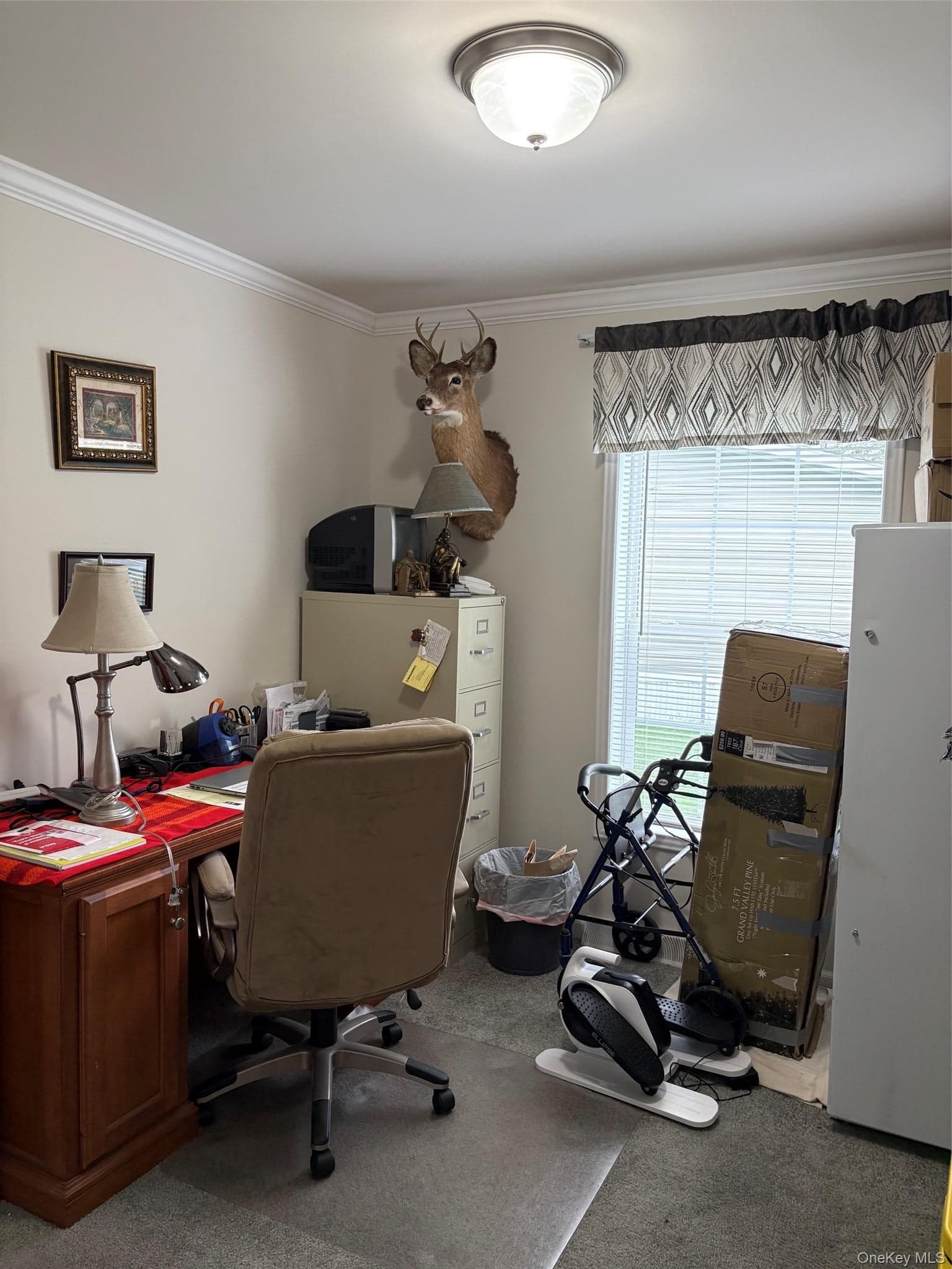 20 Cardinal Rd #89 RD thumbnail 19
