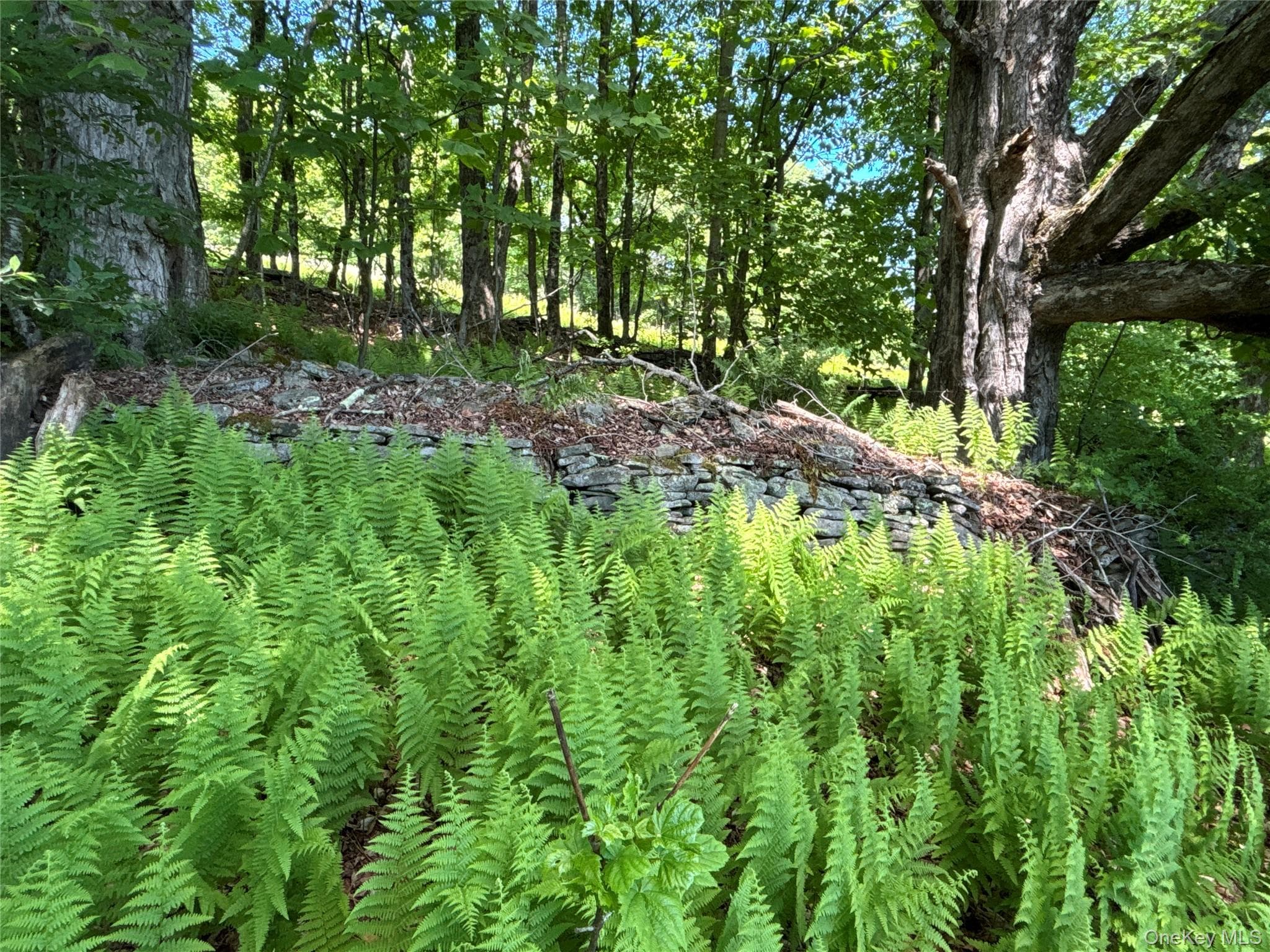 2636 Murphy Hill Road thumbnail 28
