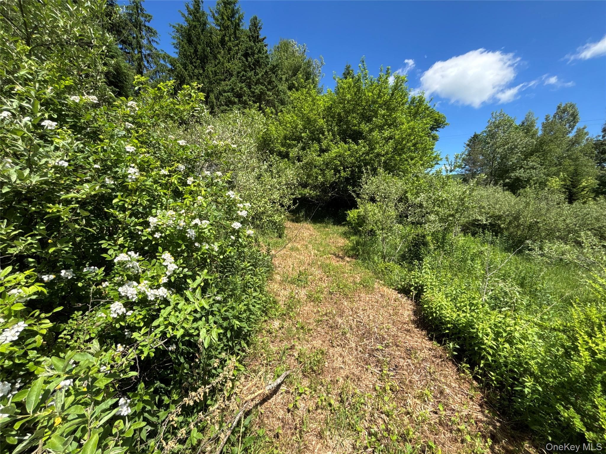 2636 Murphy Hill Road thumbnail 21