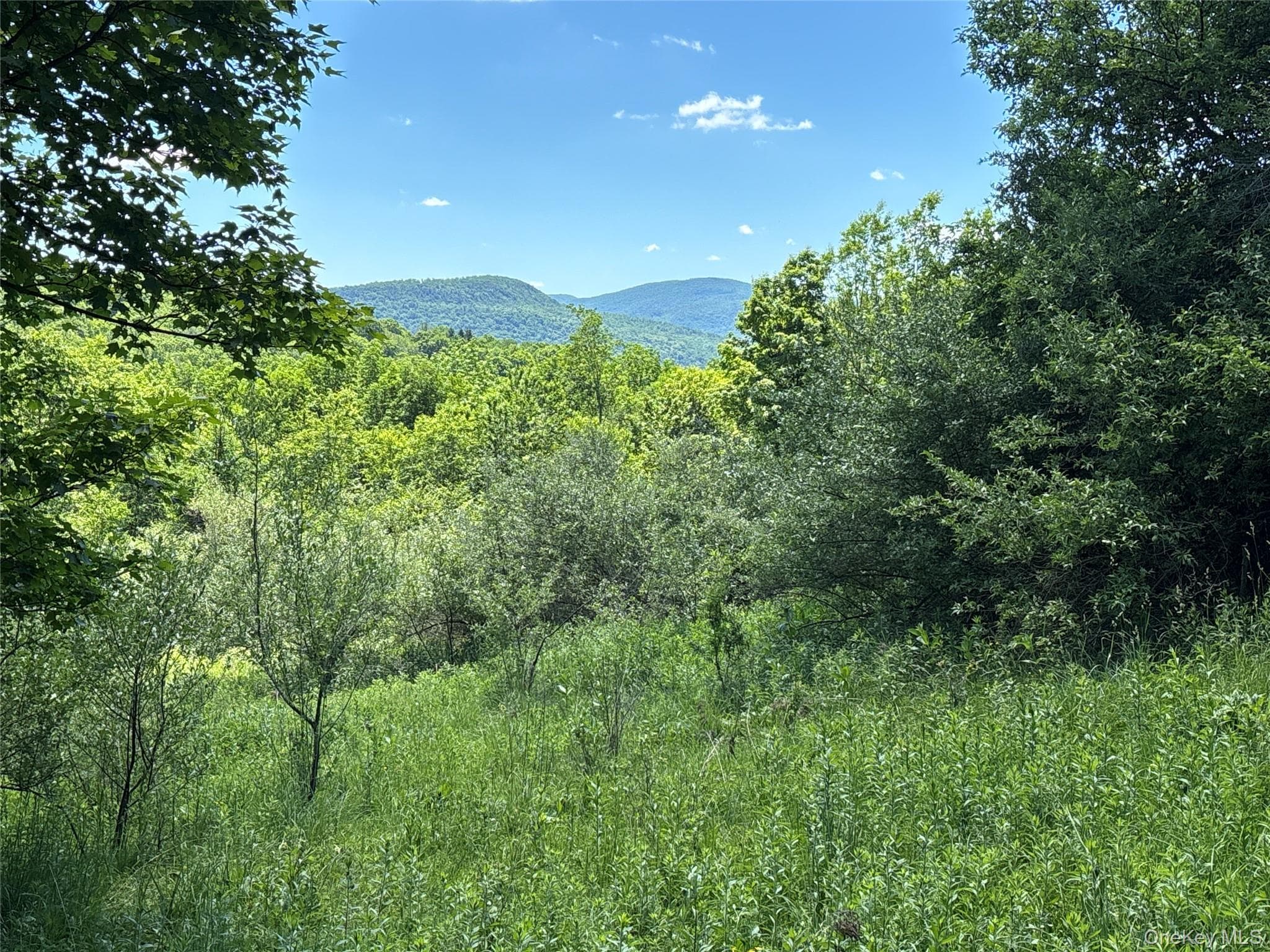 2636 Murphy Hill Road thumbnail 18