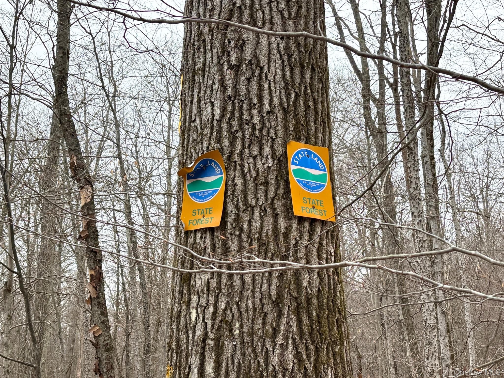 2636 Murphy Hill Road thumbnail 33