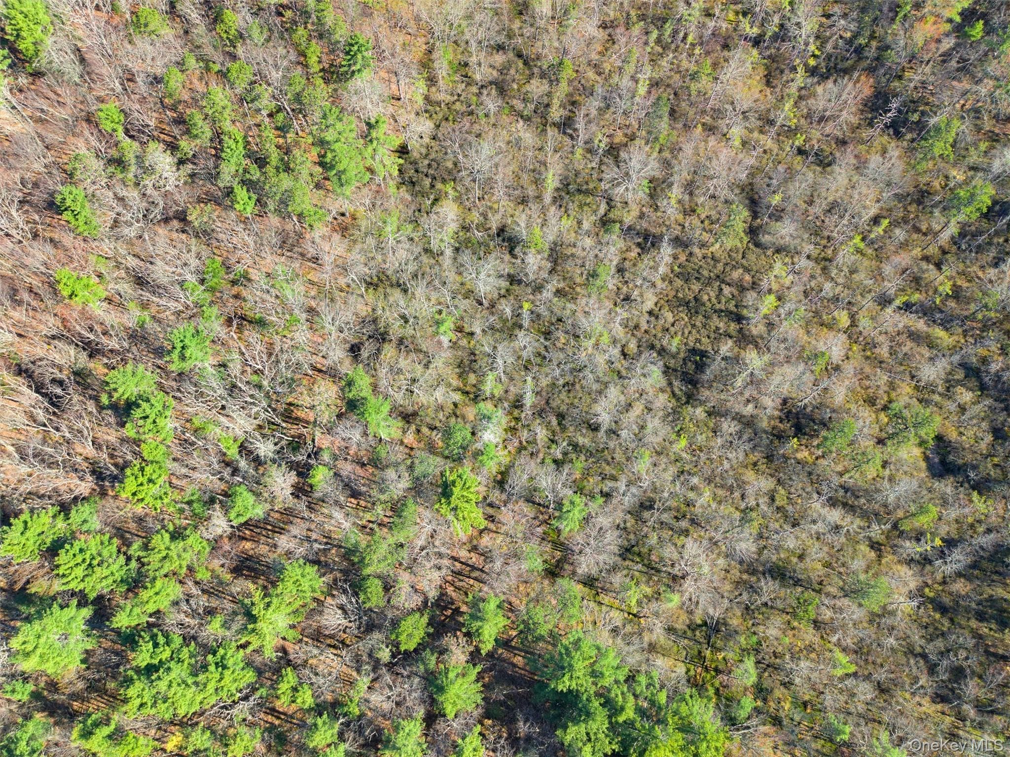 Crawford Road thumbnail 14