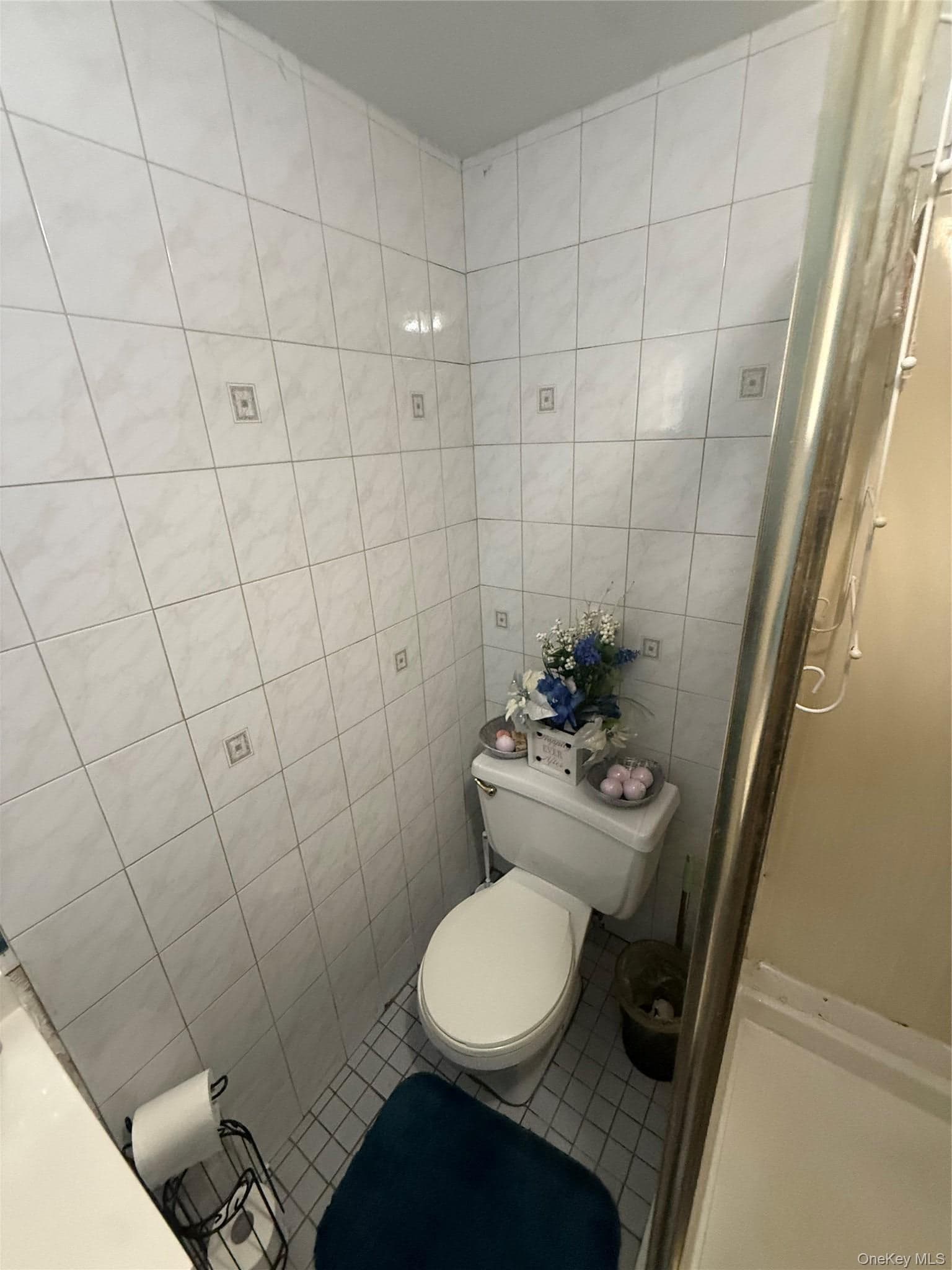 649 E 86th Street thumbnail 14