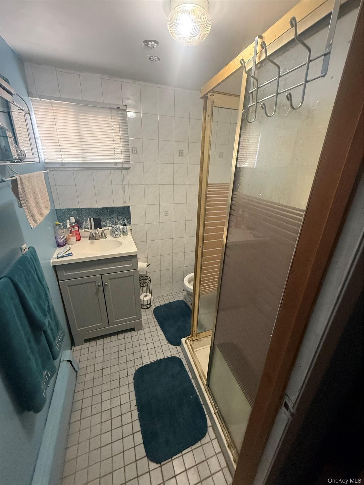 649 E 86th Street thumbnail 13