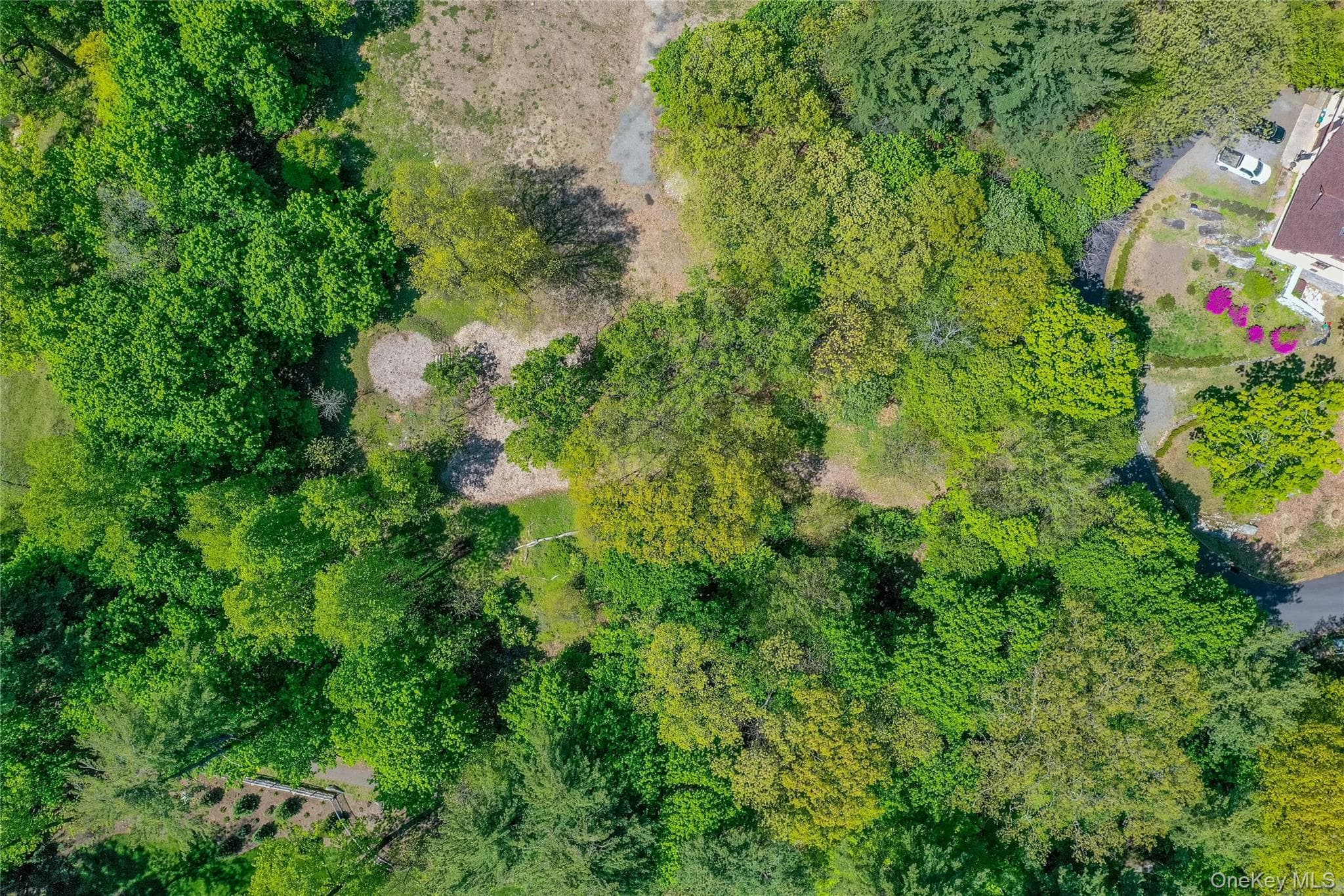 Lot #1 Castle Road thumbnail 17
