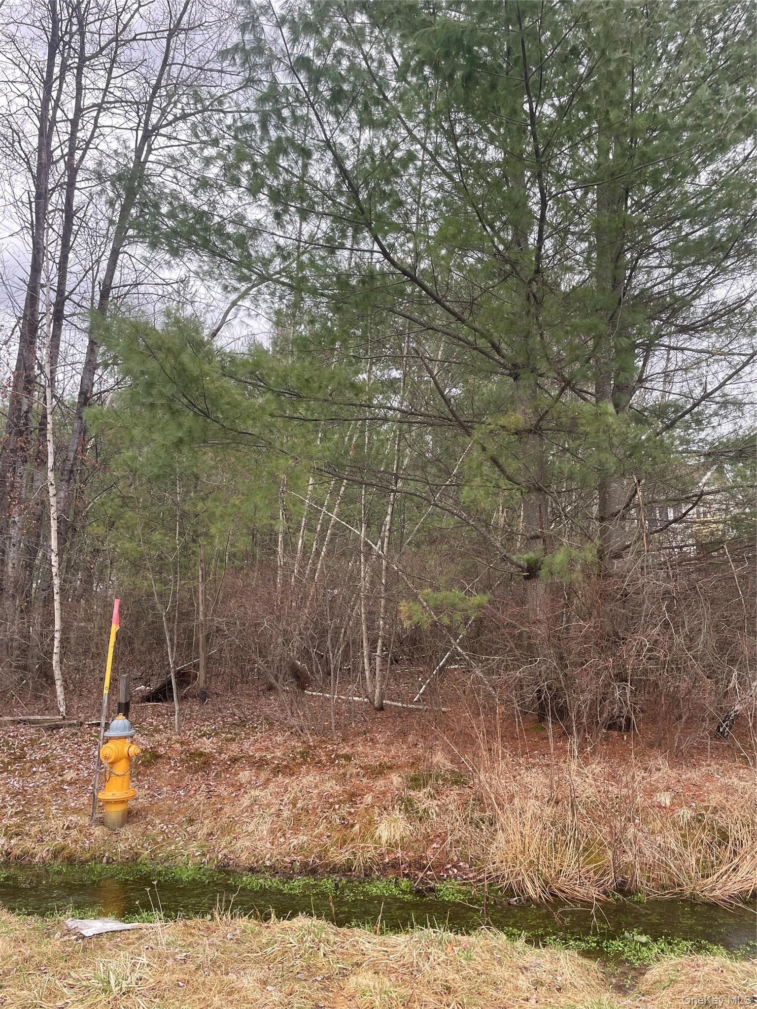 39 Birch Lane thumbnail 9