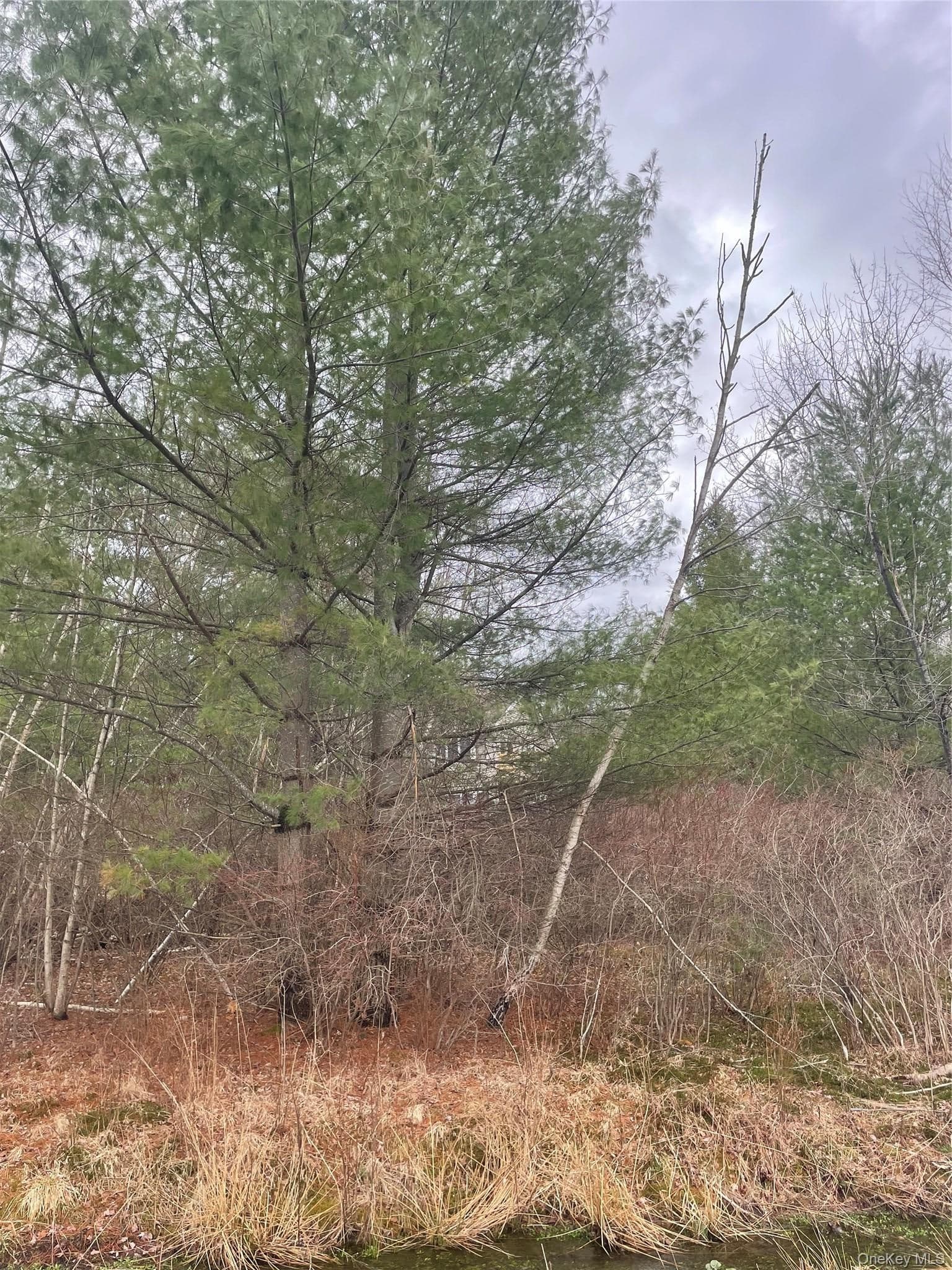 39 Birch Lane thumbnail 10