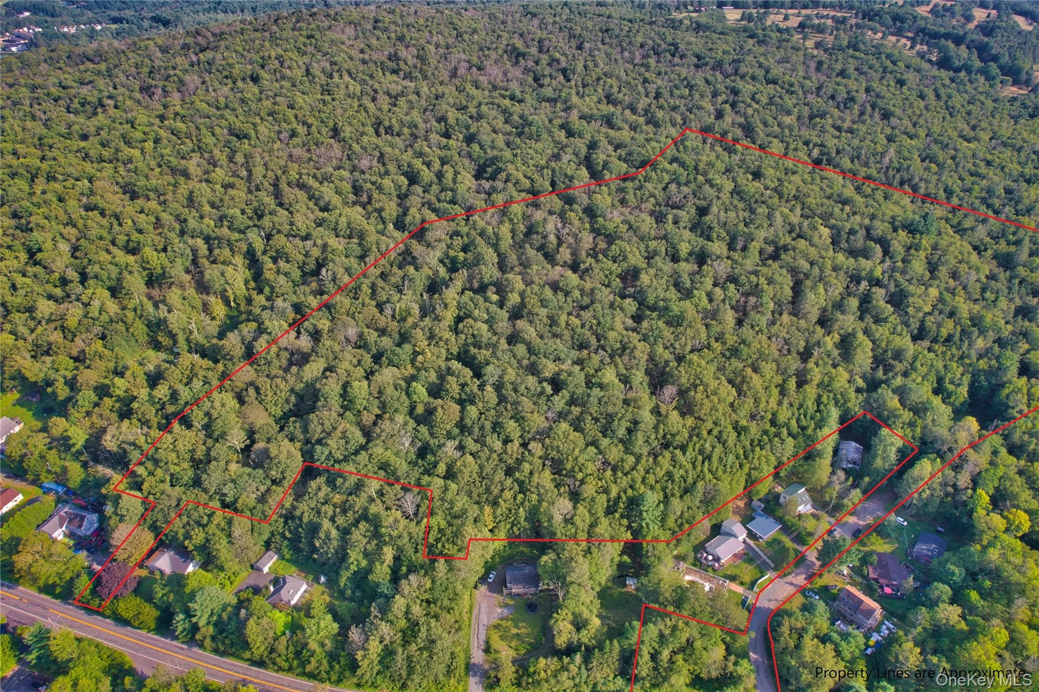 39 Birch Lane, Swan Lake