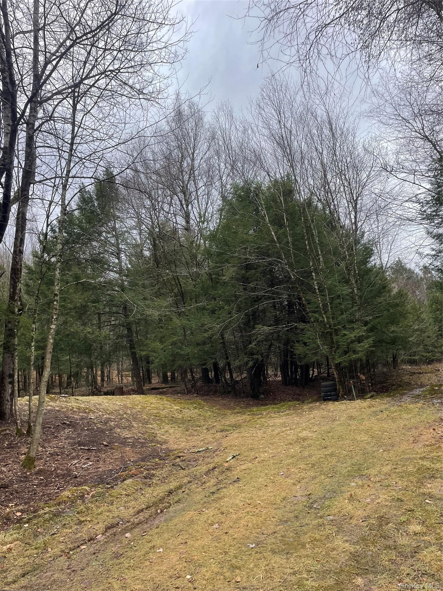 39 Birch Lane thumbnail 13