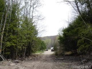 39 Birch Lane thumbnail 16