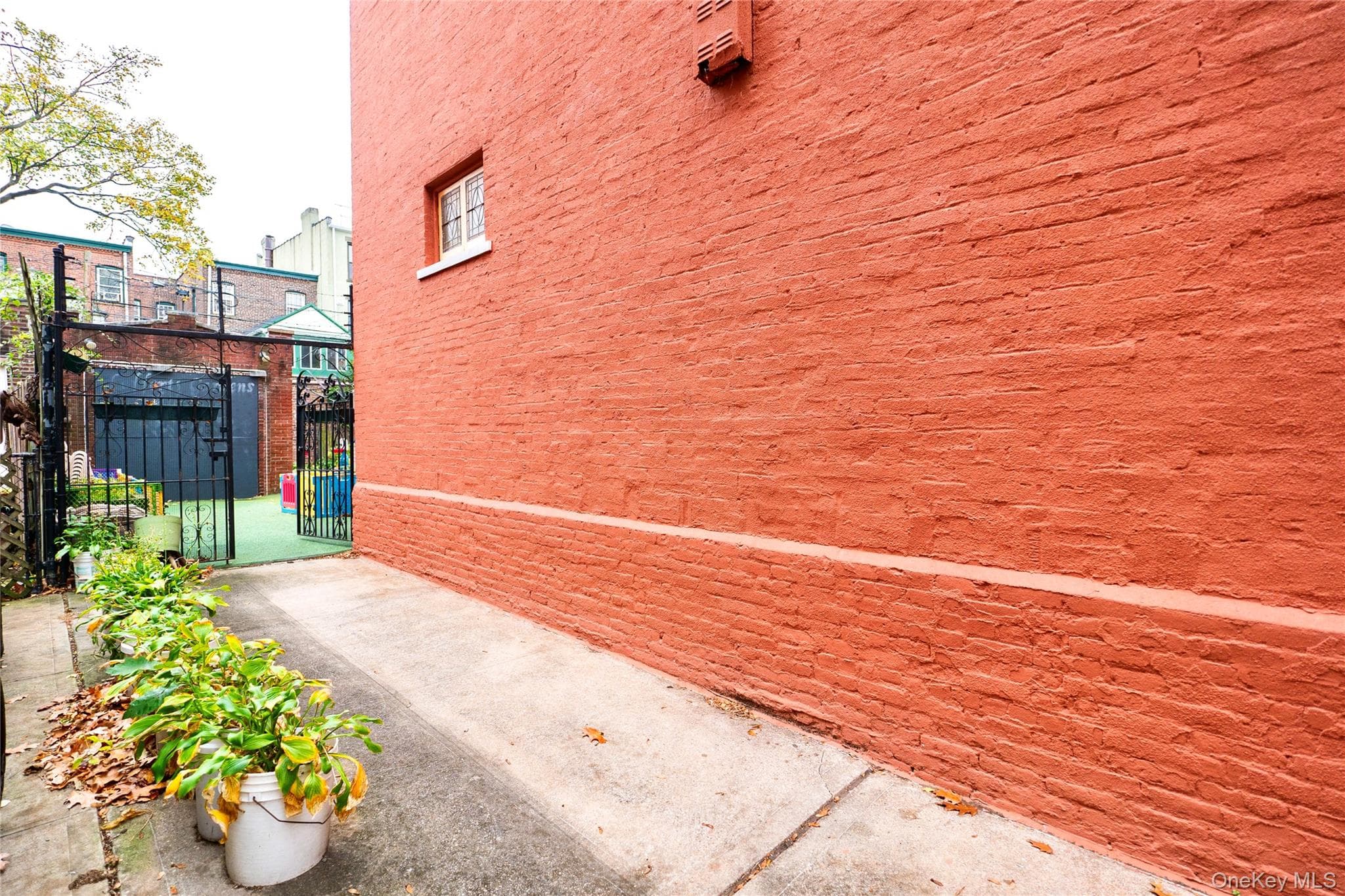 88 Midwood Street thumbnail 4