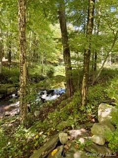 806 Peenpack Trail thumbnail 46