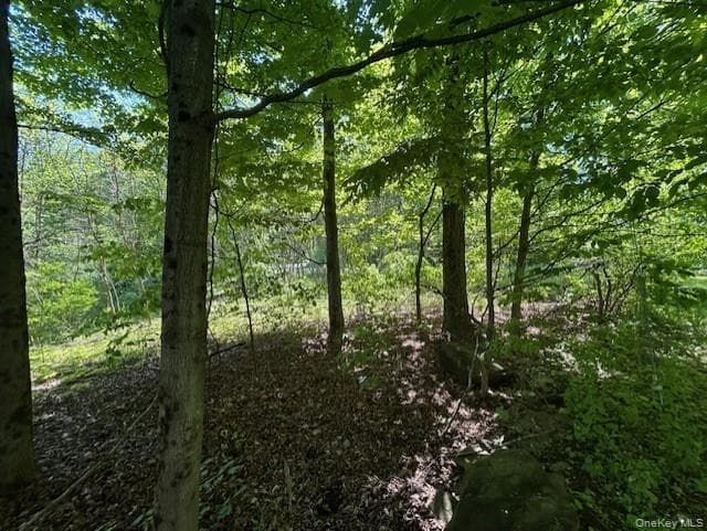 20 Hickory Lane thumbnail 9