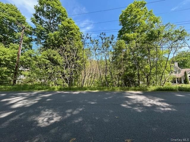 20 Hickory Lane thumbnail 8