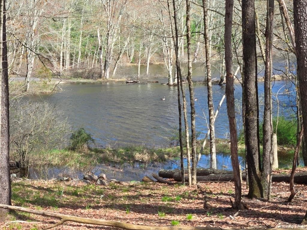 86 Plank Road thumbnail 13