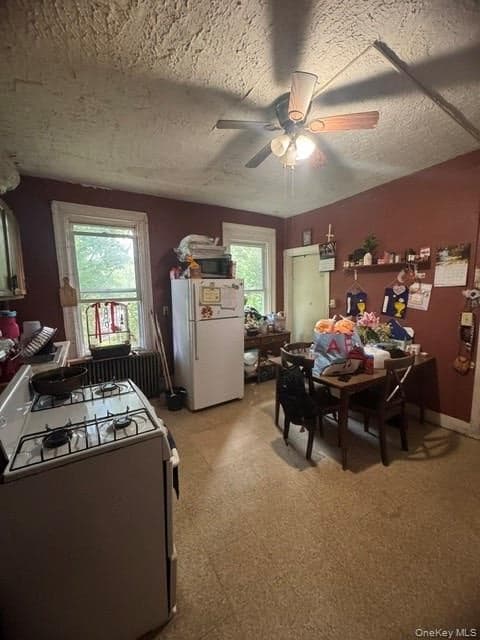 167 Ann Street thumbnail 5