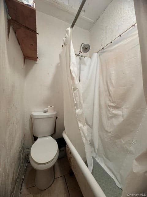 167 Ann Street thumbnail 7