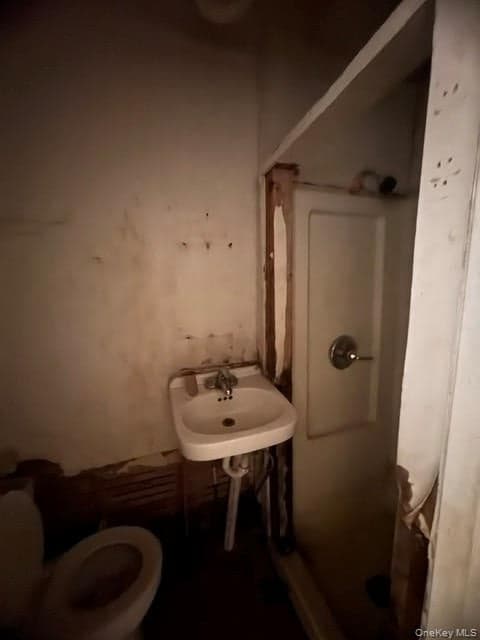 167 Ann Street thumbnail 17