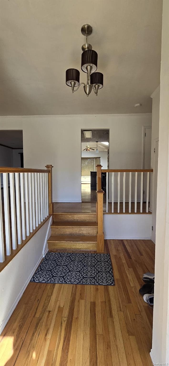 374 Vermont Avenue thumbnail 2