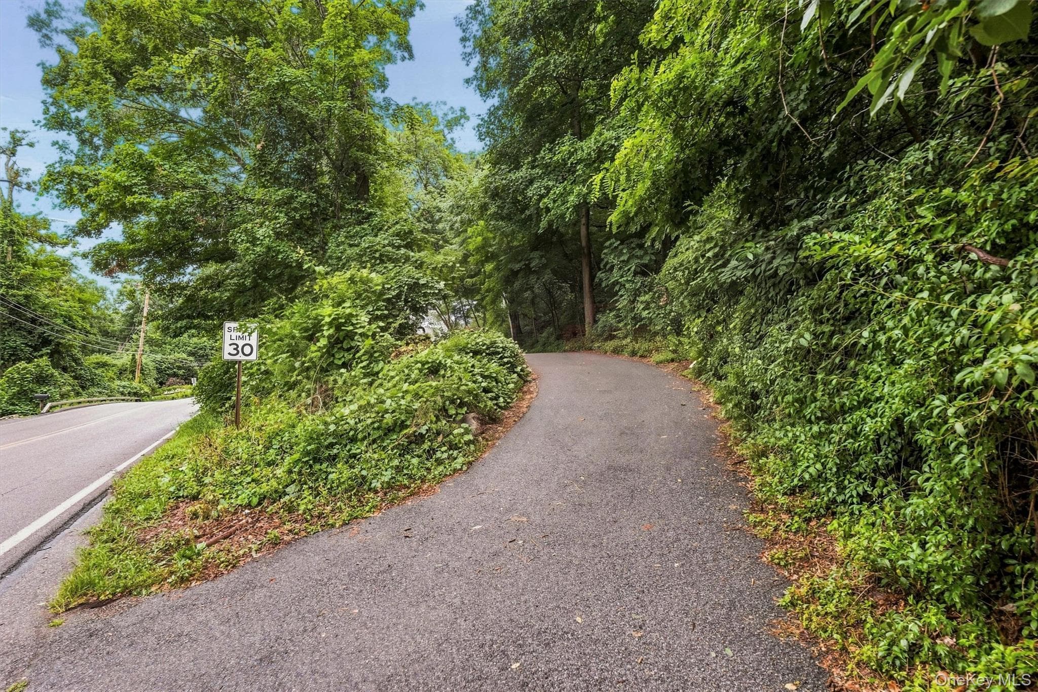 256 Haviland Drive thumbnail 29
