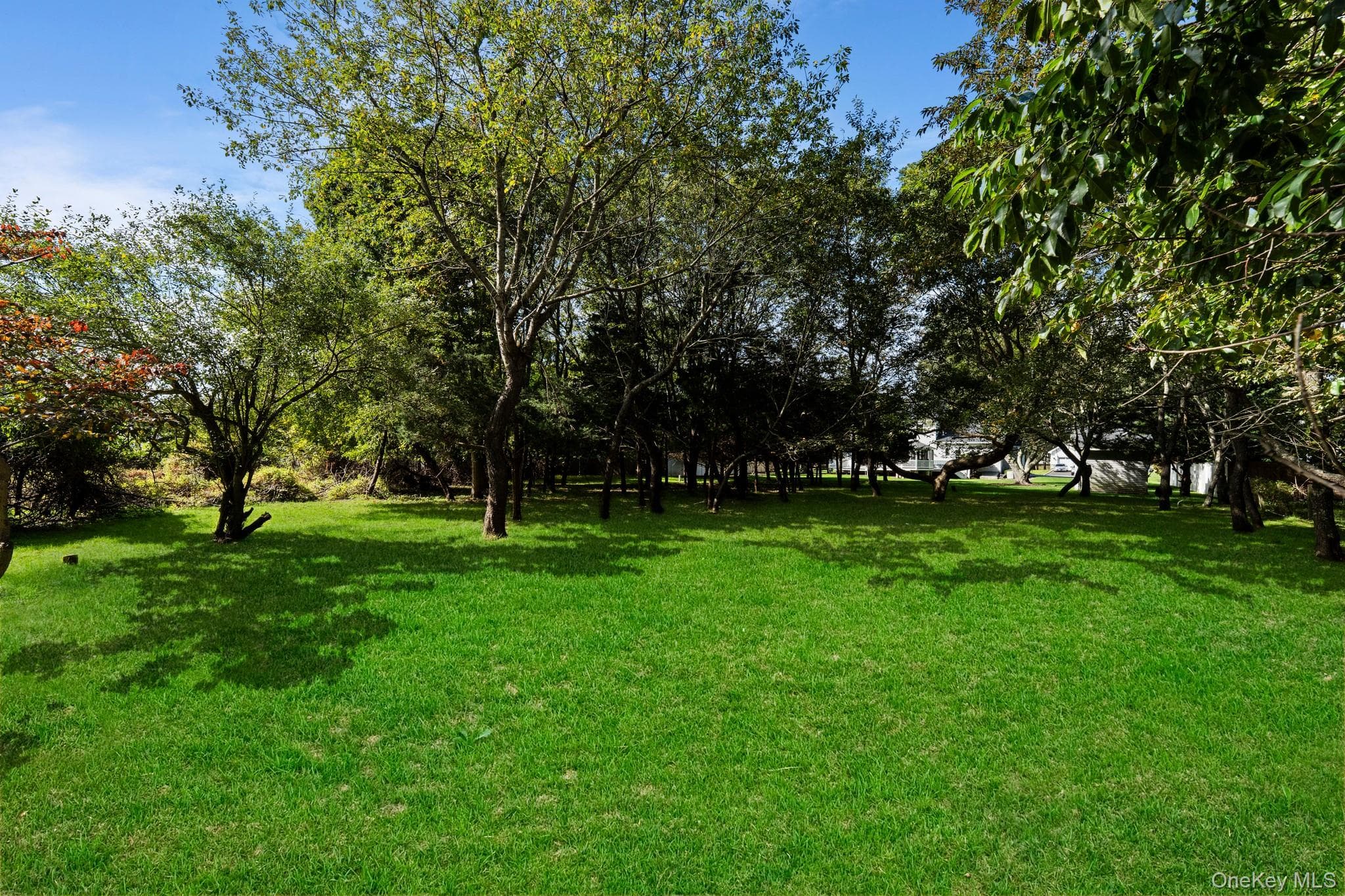 85 James Hawkins Road thumbnail 33