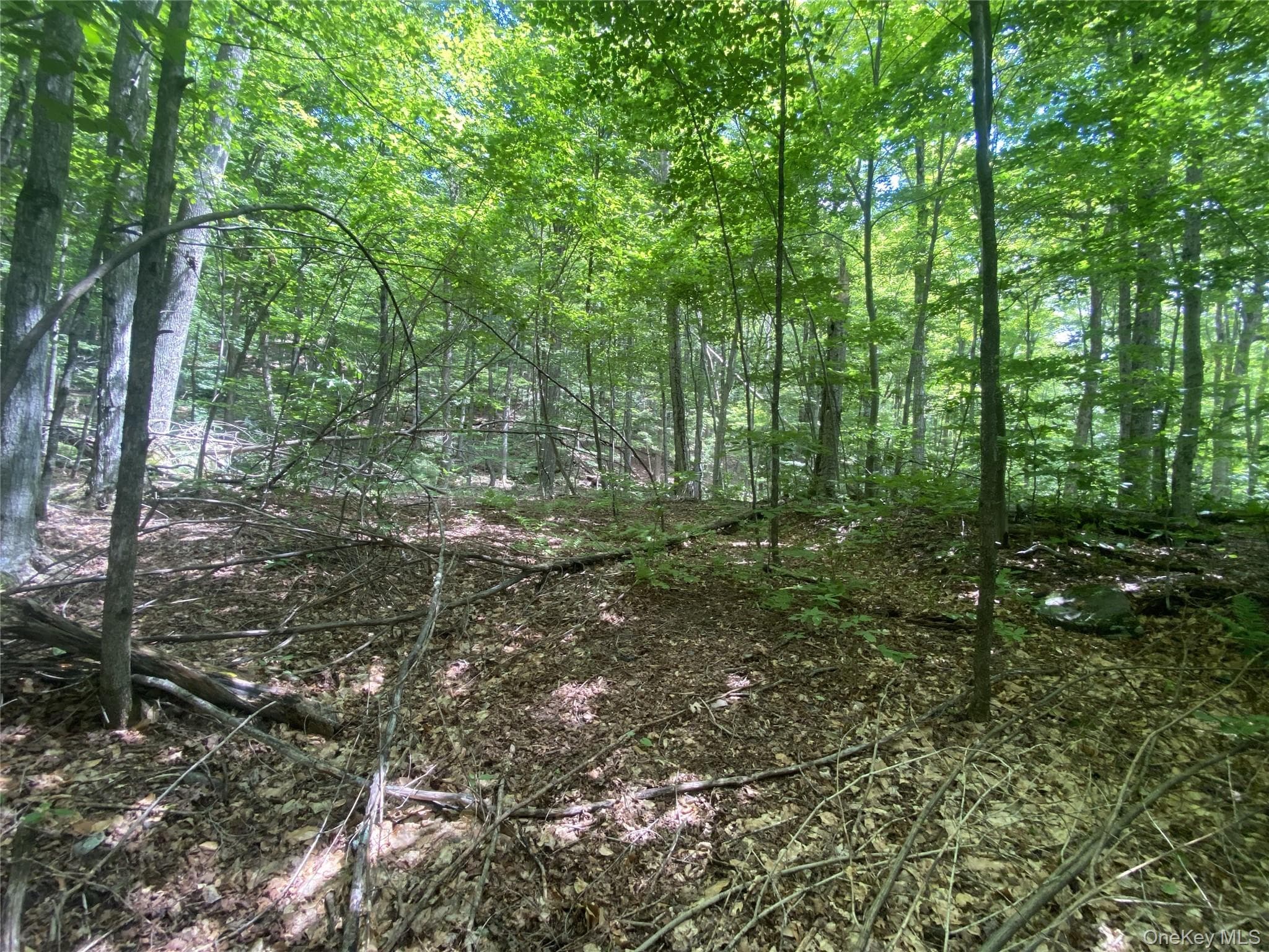 140 Arbor Road thumbnail 7