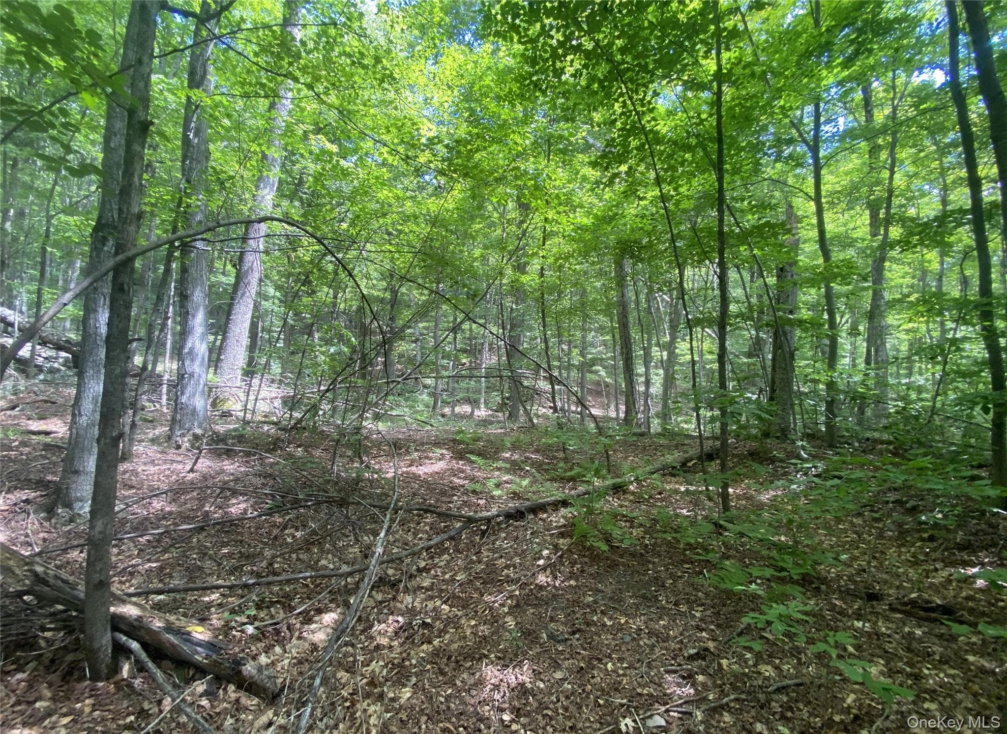 140 Arbor Road thumbnail 11