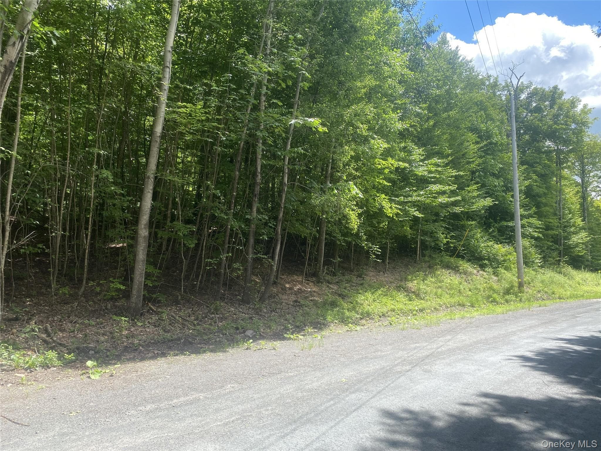 140 Arbor Road thumbnail 2