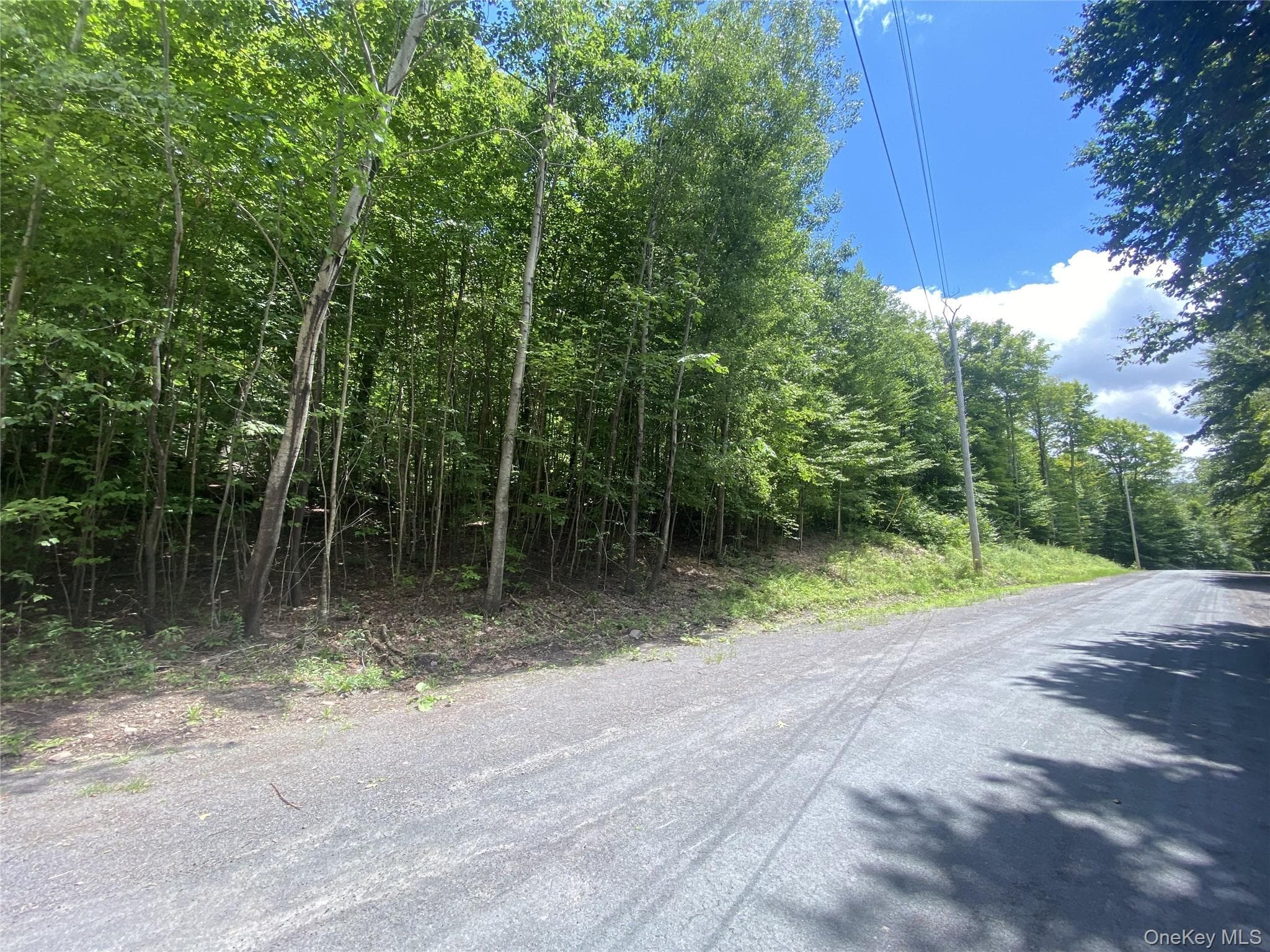 140 Arbor Road thumbnail 5