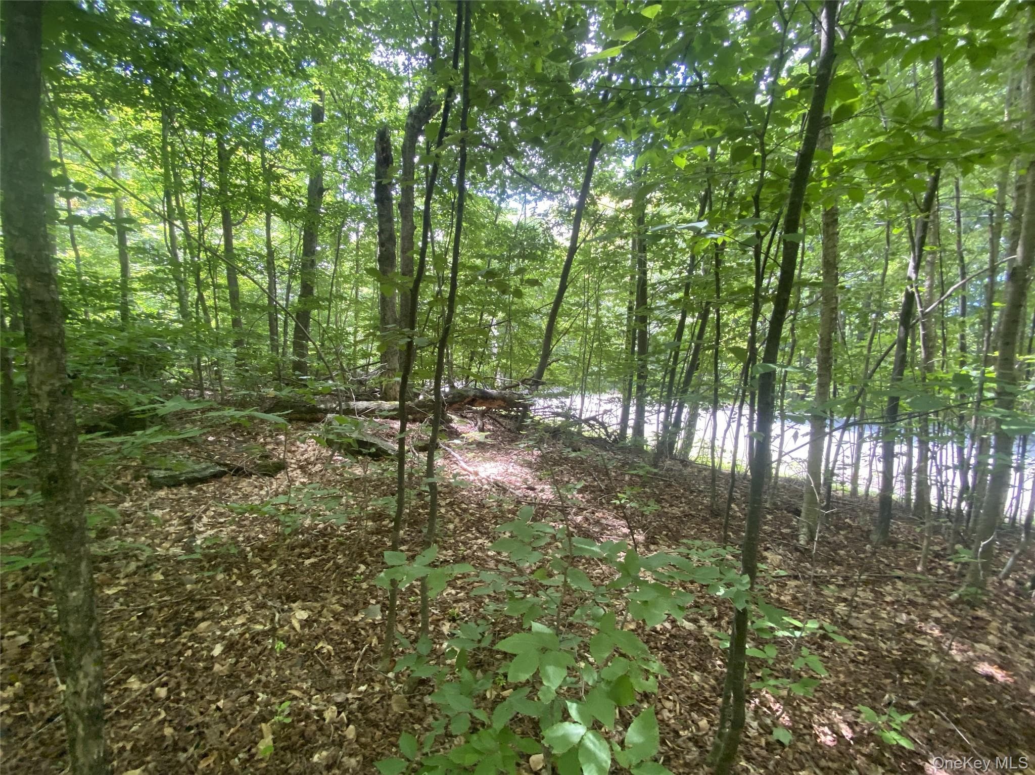 140 Arbor Road thumbnail 12