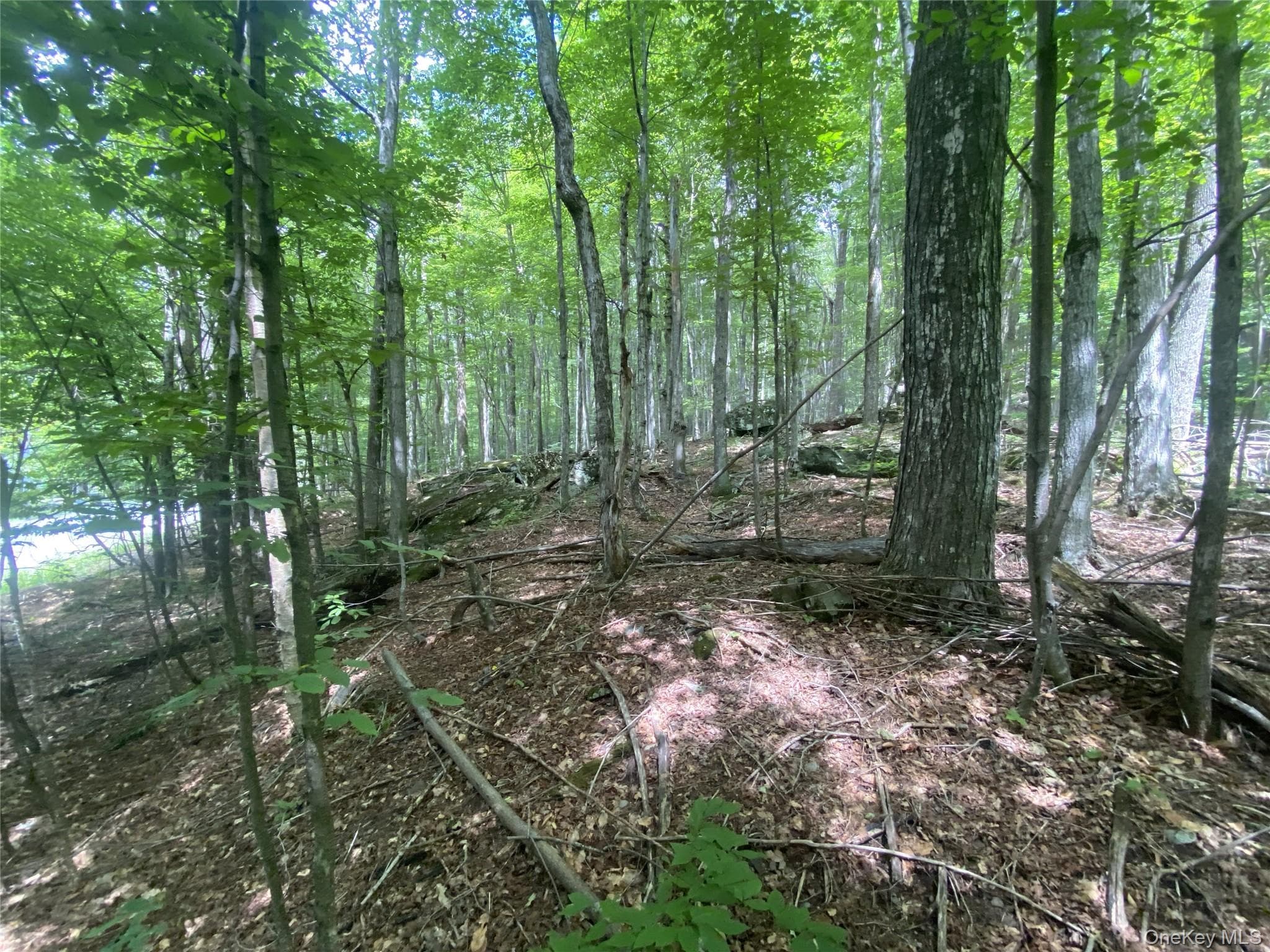 140 Arbor Road thumbnail 6