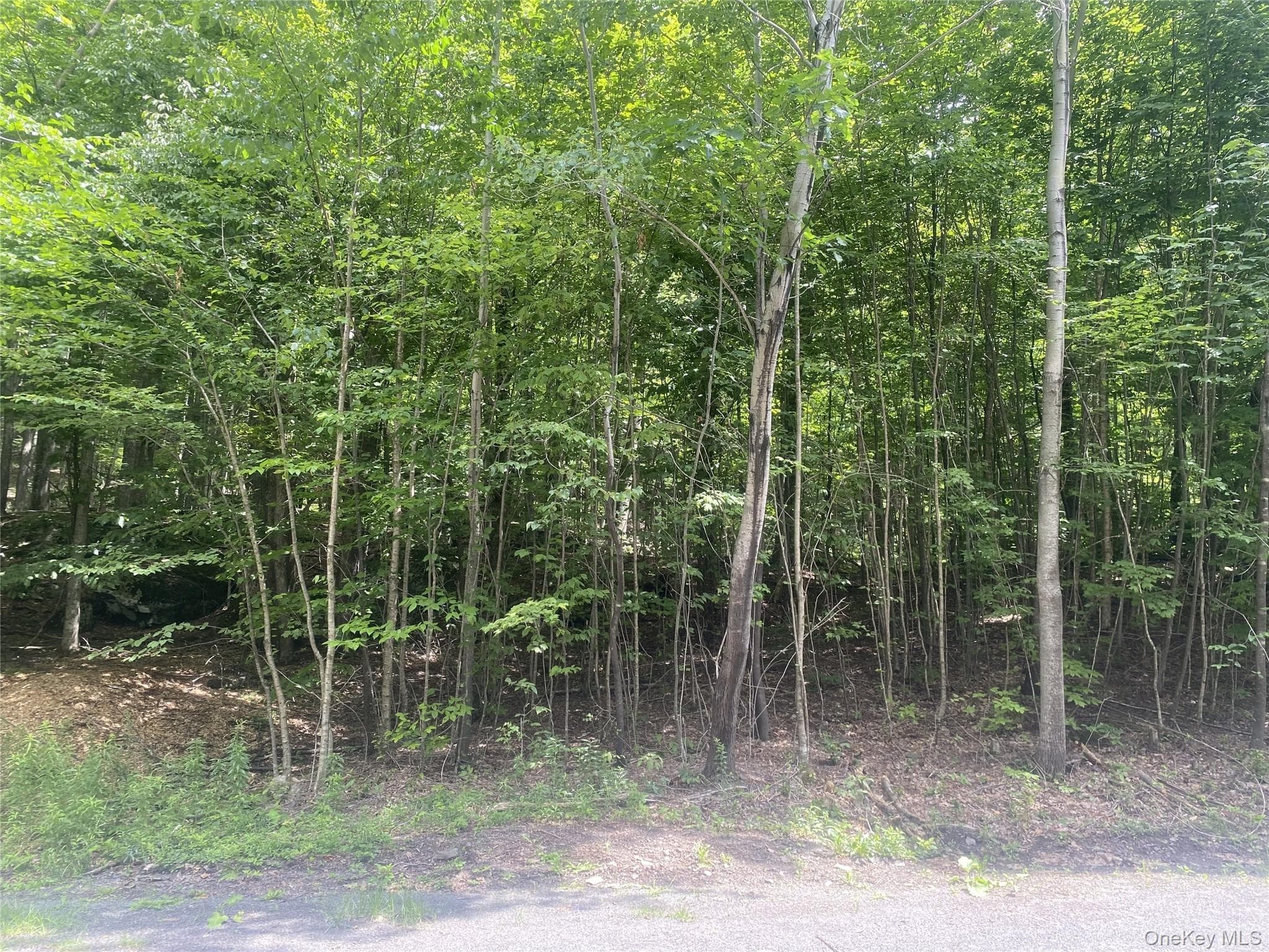 140 Arbor Road thumbnail 4
