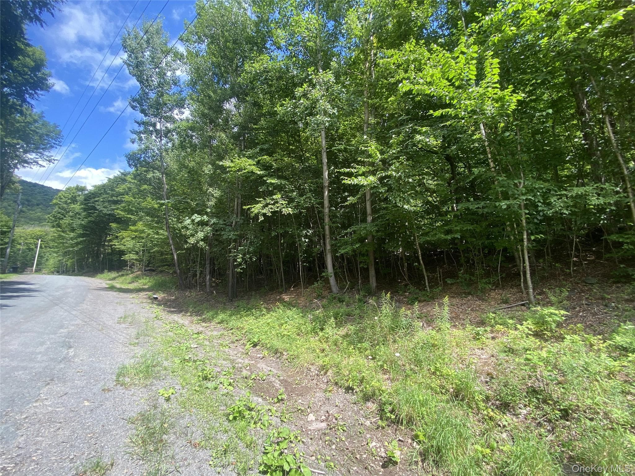 140 Arbor Road thumbnail 8