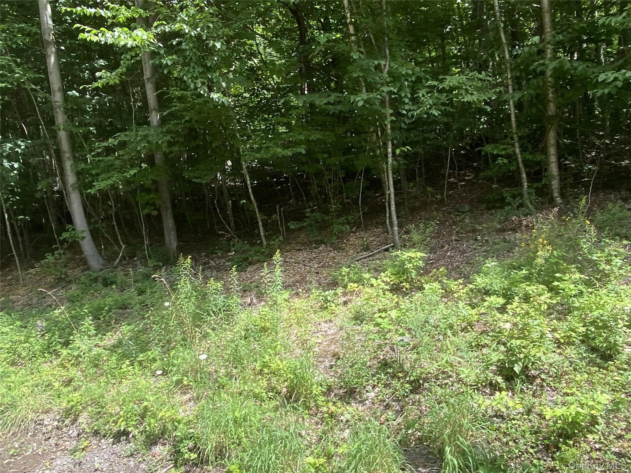 140 Arbor Road thumbnail 3