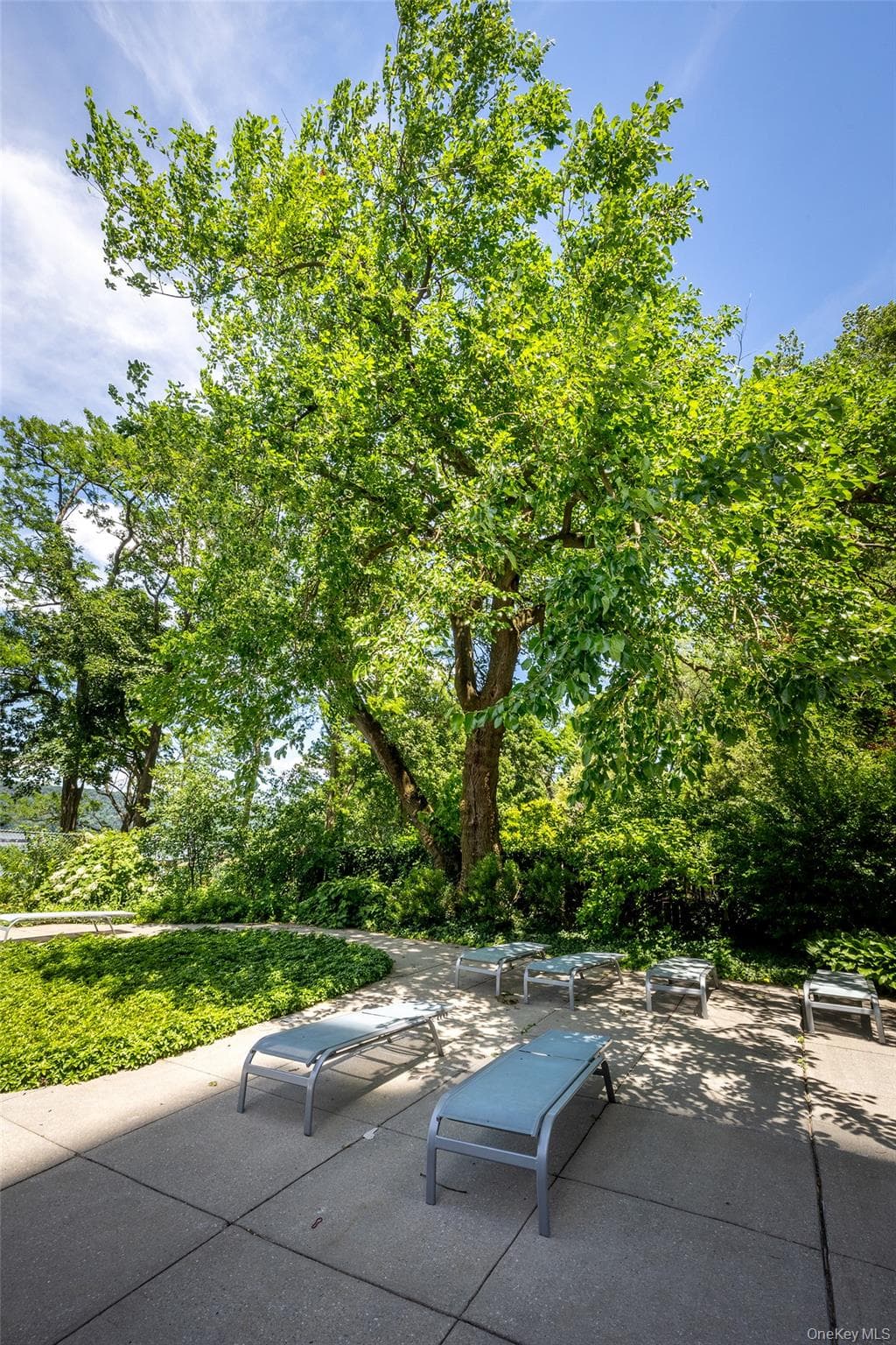 2727 Palisade Avenue Unit: 9B thumbnail 22