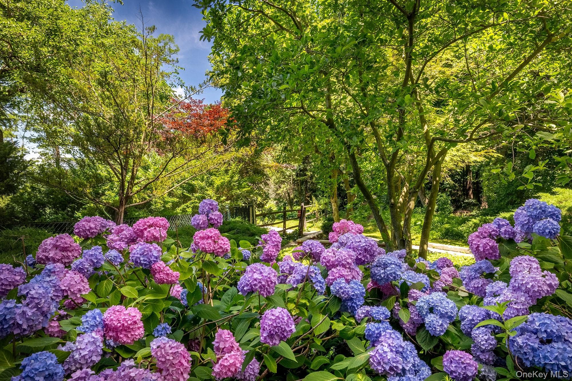 2727 Palisade Avenue Unit: 9B thumbnail 7
