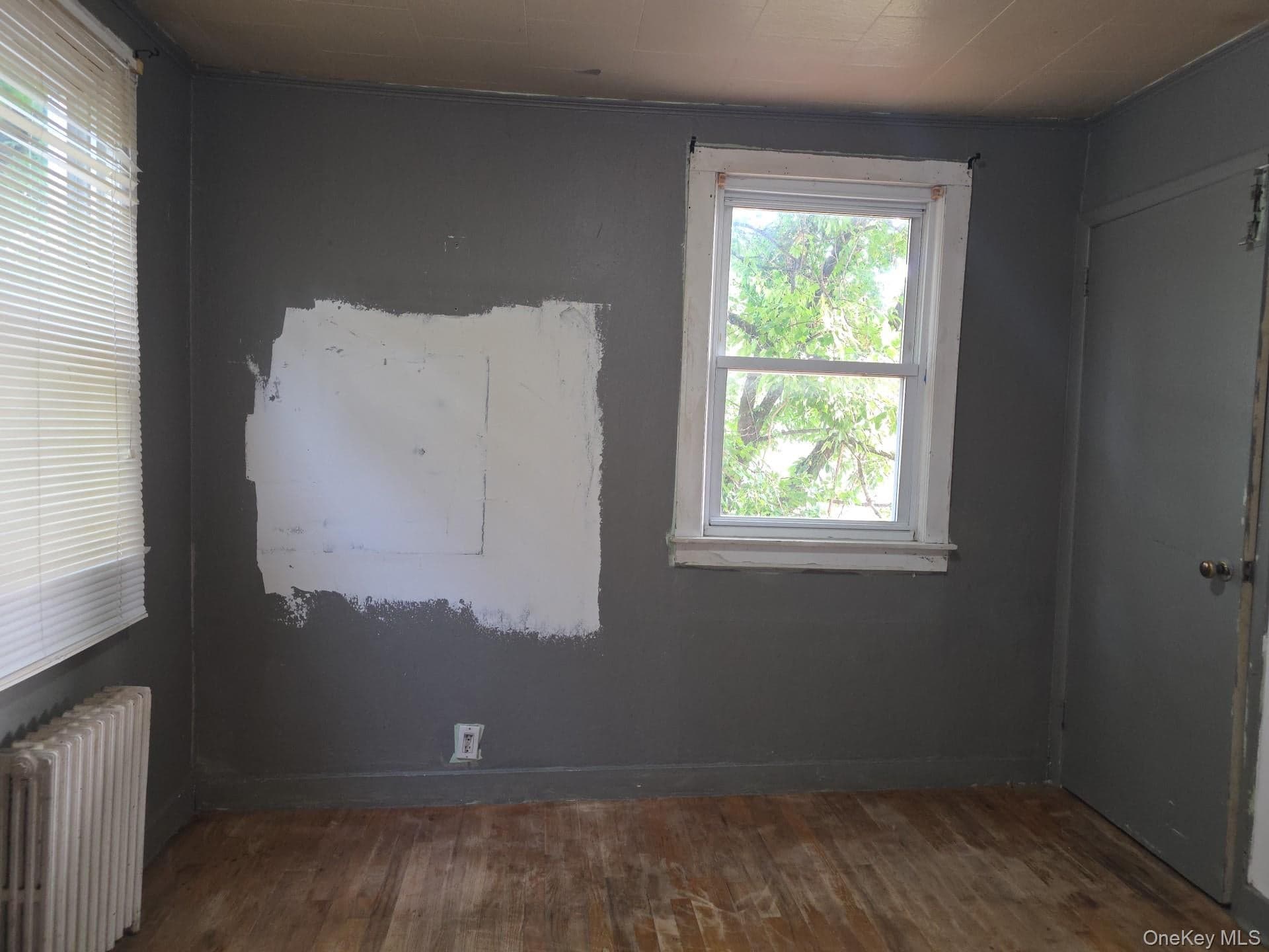 236 Holland Avenue thumbnail 4