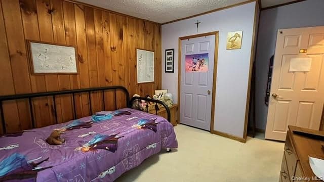 231 Traverse Road thumbnail 35