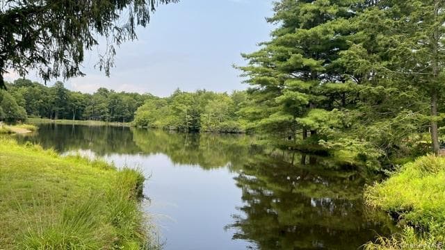231 Traverse Road thumbnail 48