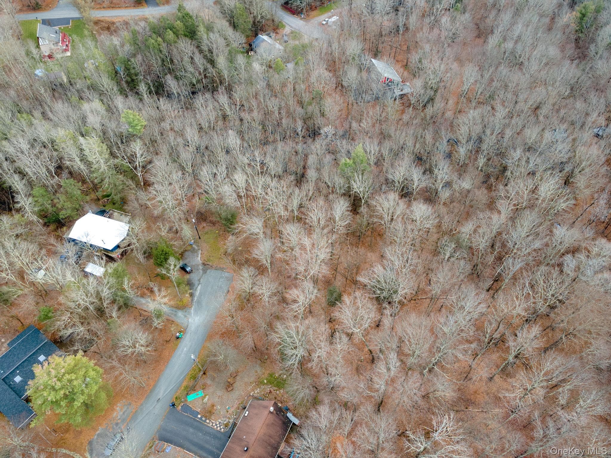 Cathalia Ct Tr 154e thumbnail 14