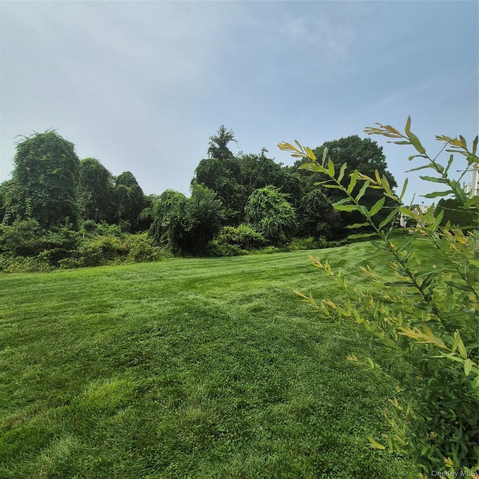 2501 Willow Pond Drive thumbnail 15