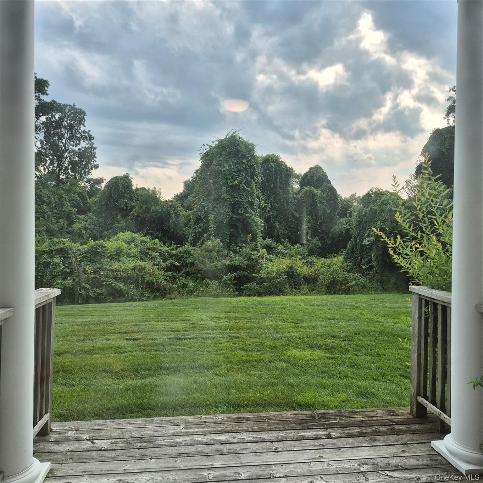 2501 Willow Pond Drive thumbnail 13