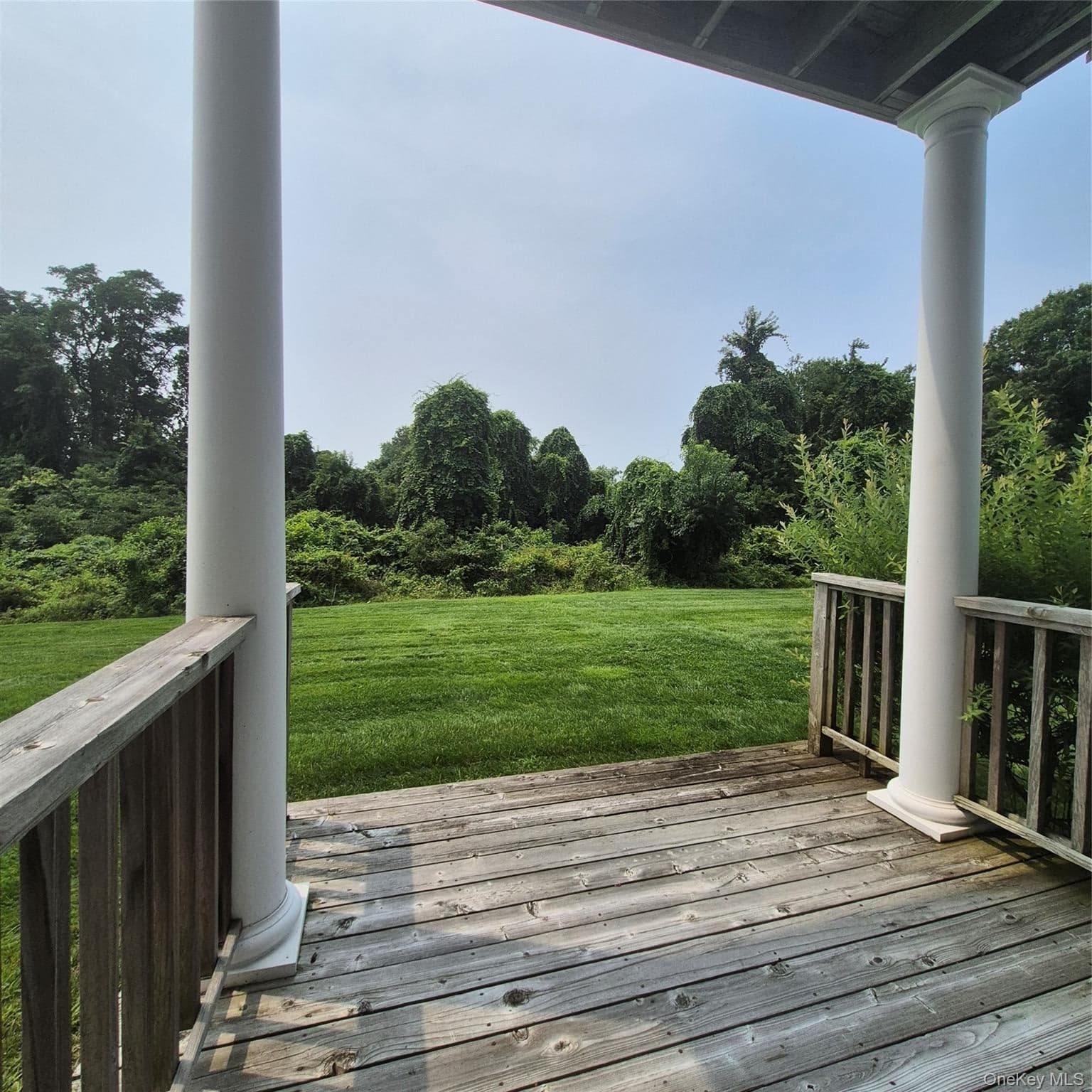 2501 Willow Pond Drive thumbnail 14