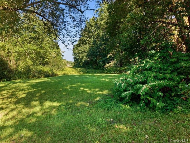 L19 Weibel Avenue thumbnail 13
