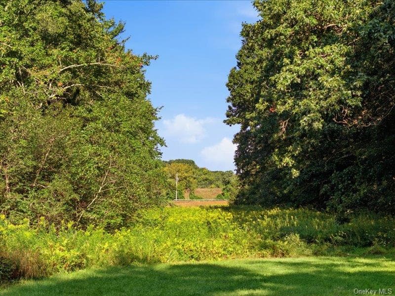 L19 Weibel Avenue thumbnail 9