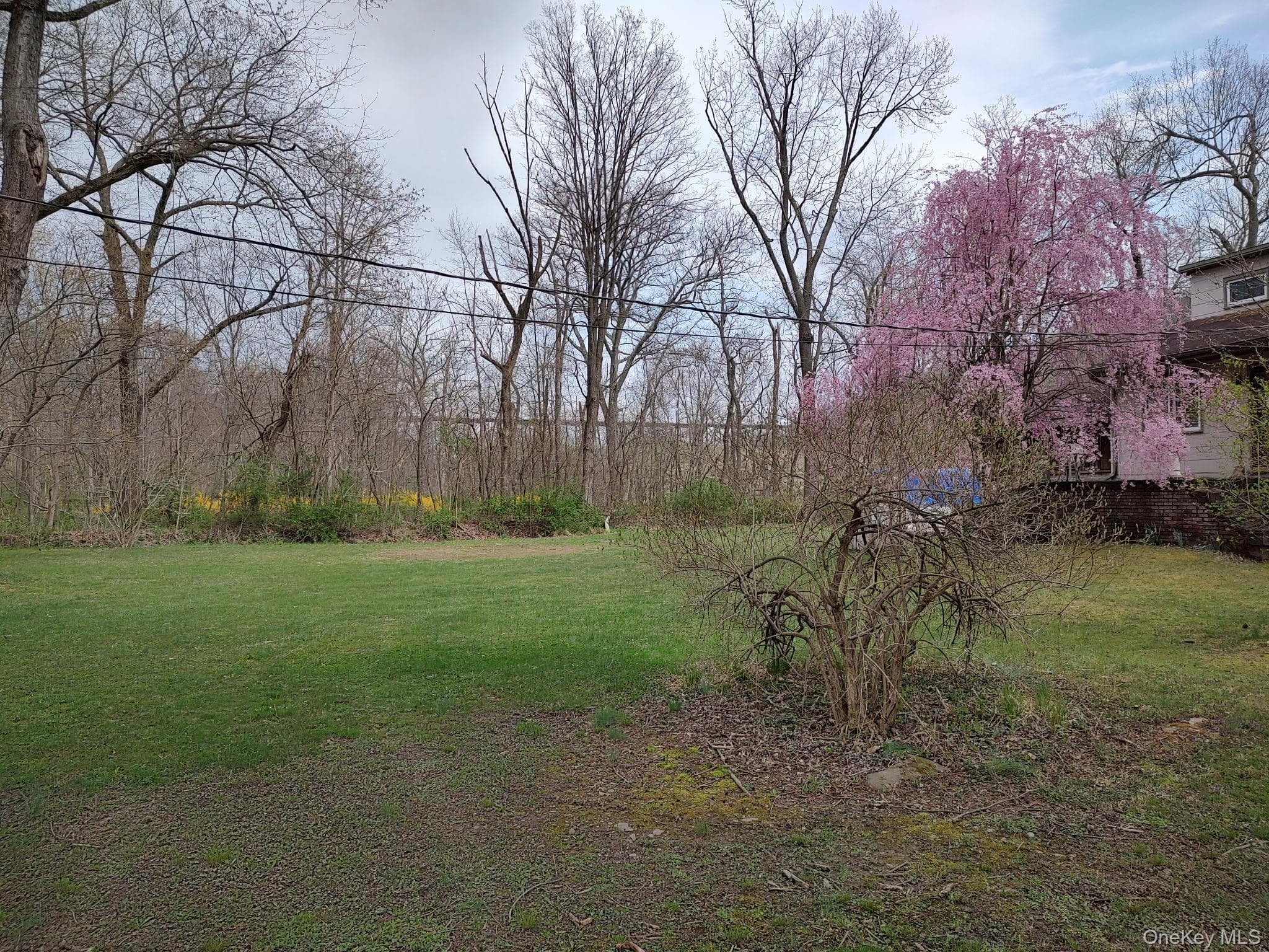 140 Orrs Mills Road thumbnail 23