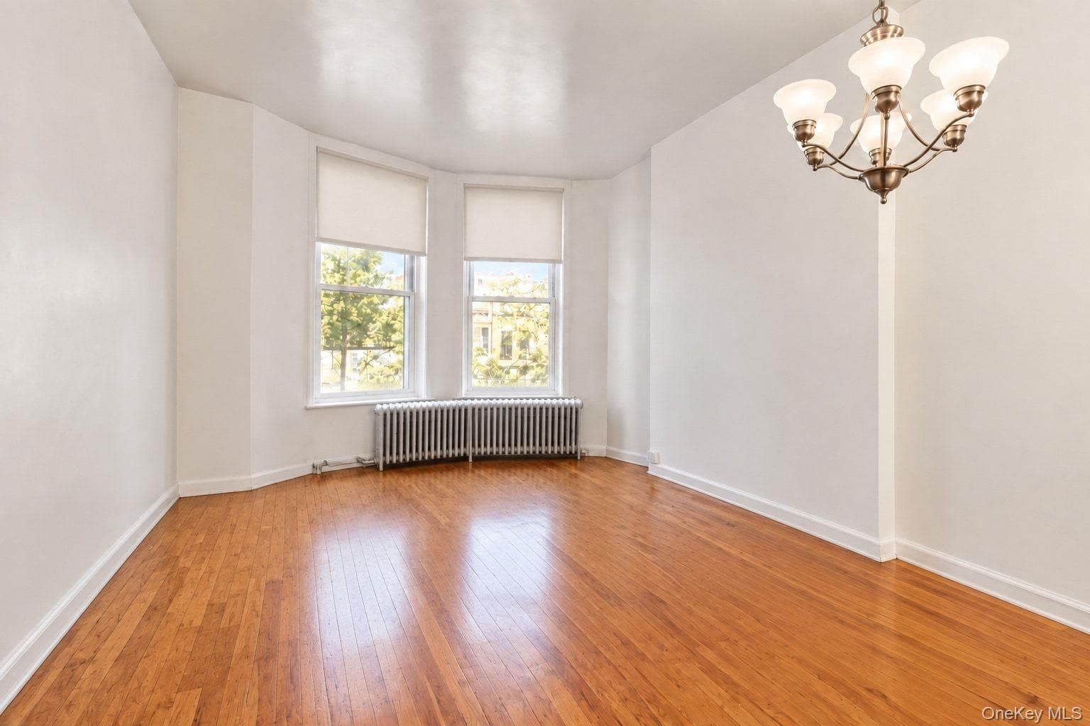 478 Bainbridge Street Unit: 1A thumbnail 19