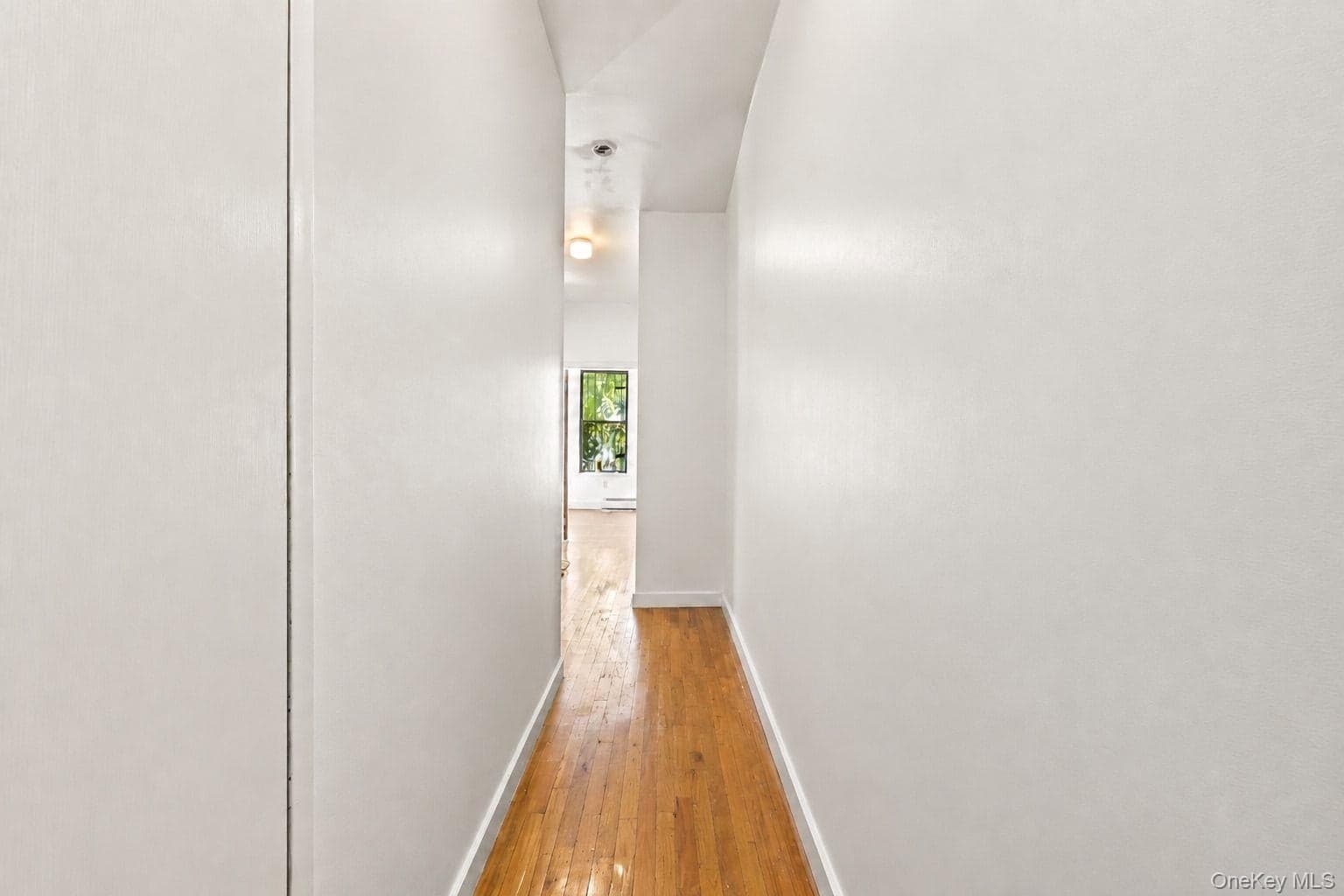 478 Bainbridge Street Unit: 1A thumbnail 8